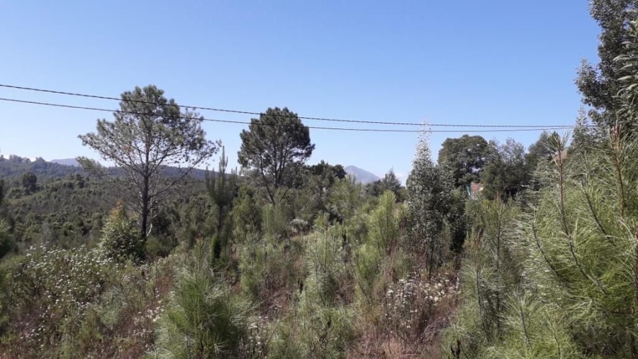 Commercial Property for Sale in Mossel Bay Rural Western Cape